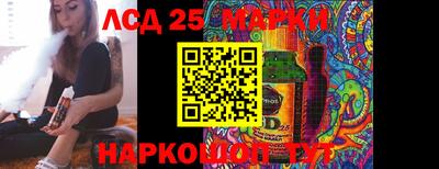 гидропоника Сланцы
