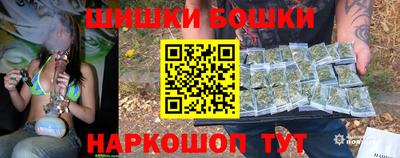 гидропоника Сланцы